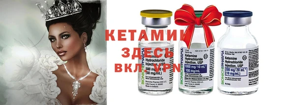 стаф Аркадак