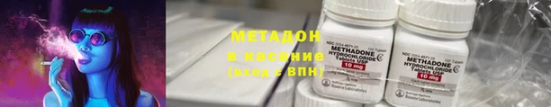 стаф Аркадак
