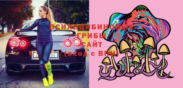 стаф Аркадак