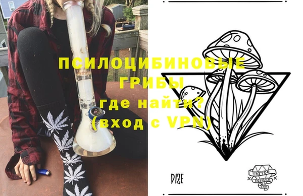 стаф Аркадак
