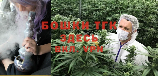 стаф Аркадак