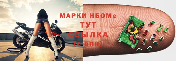 стаф Аркадак