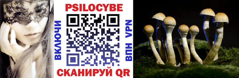 MEGA tor  купить   Черняховск  Псилоцибиновые грибы Psilocybine cubensis 