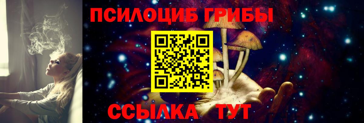 цены наркотик  Галлюциногенные грибы Magic Shrooms  Вход с VPN  Черняховск 