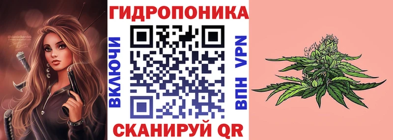 Конопля семена Черняховск